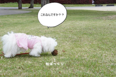 DSC04964.jpg