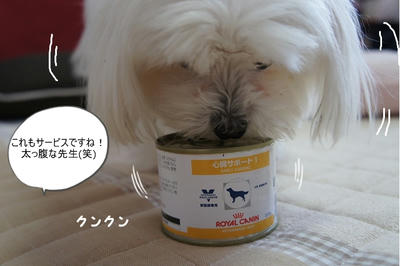 DSC05011.jpg