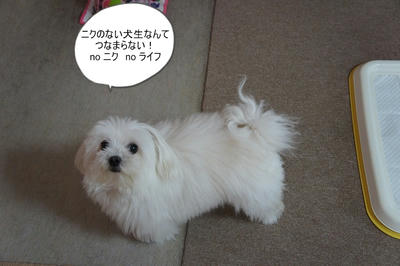DSC05024.jpg