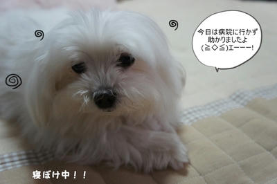 DSC05081.jpg