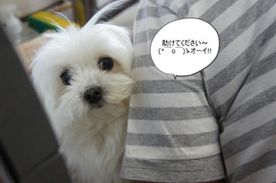 DSC05041.jpg