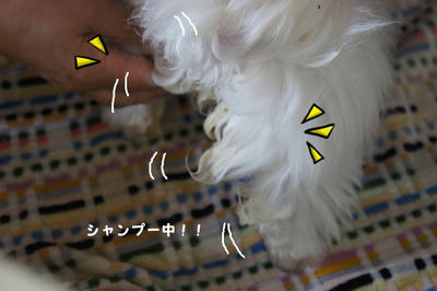 DSC05045.jpg