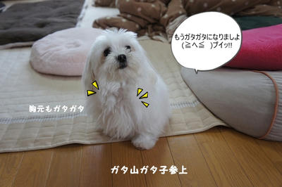 DSC05064.jpg