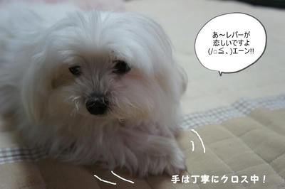 DSC05082.jpg