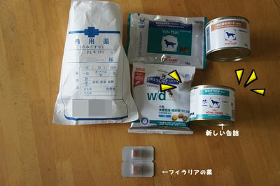 DSC05086.jpg