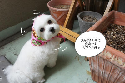 DSC05195.jpg