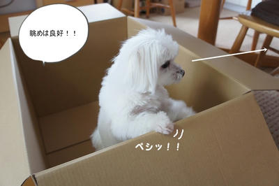 DSC05250.jpg