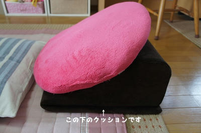 DSC05284.jpg