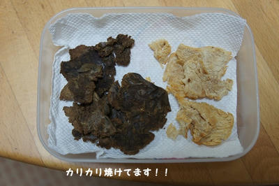 DSC05300.jpg
