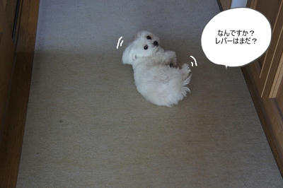 DSC05298.jpg
