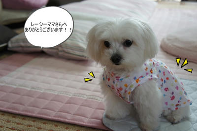 DSC05320.jpg