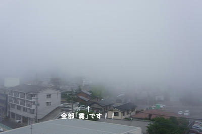 DSC05344.jpg