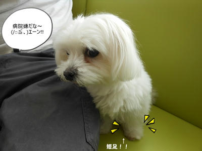DSCN9865.jpg