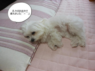 DSCN9877.jpg