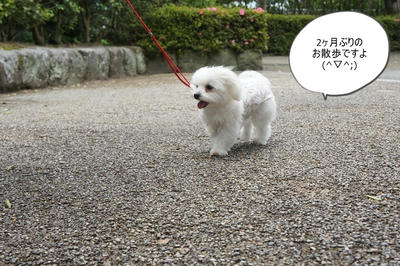 DSC05390.jpg