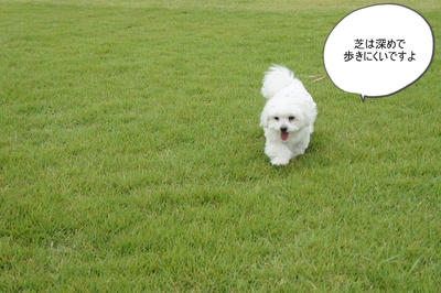 DSC05436.jpg