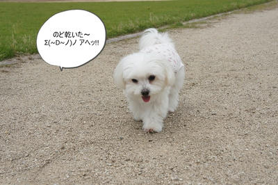 DSC05446.jpg