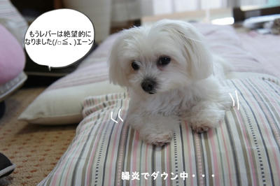 DSC05364.jpg