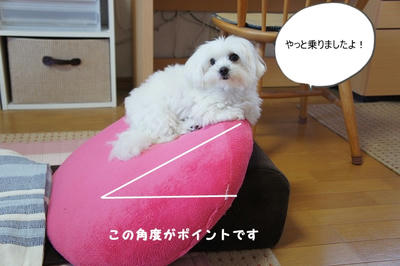 DSC05477.jpg