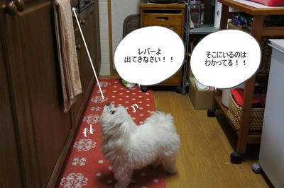DSC05495.jpg