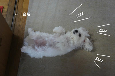 DSC05549.jpg