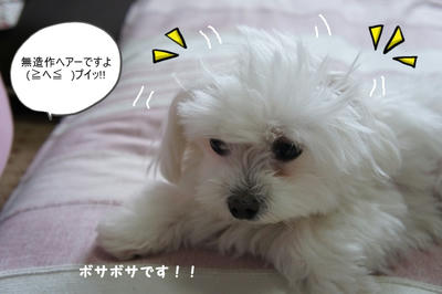 DSC05588.jpg