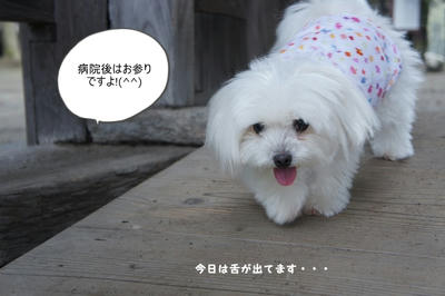DSC05610.jpg