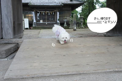 DSC05652.jpg