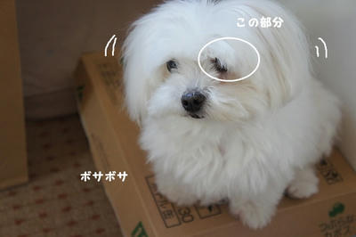 DSC05842.jpg