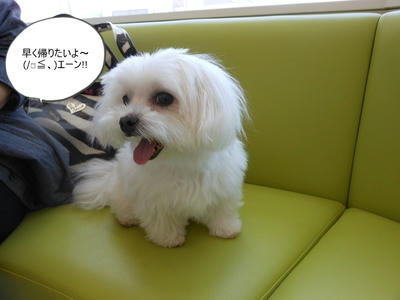 DSCN9898.jpg