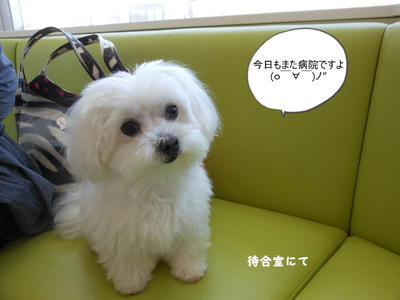DSCN9904.jpg