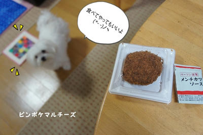 DSC05796.jpg