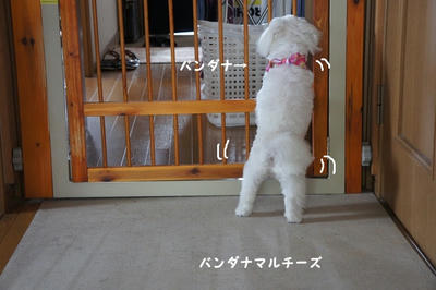 DSC05905.jpg