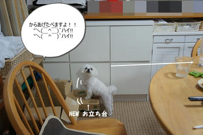 DSC05926.jpg