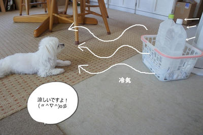 DSC05952.jpg