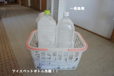 DSC05957.jpg