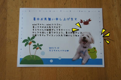 DSC05947.jpg