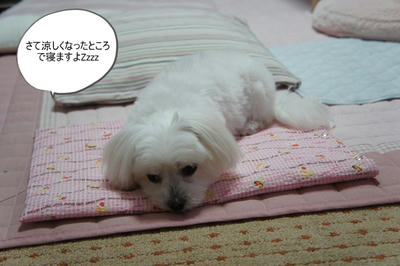 DSC05995.jpg