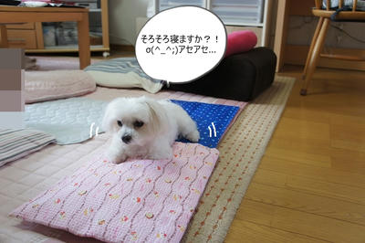 DSC06040.jpg