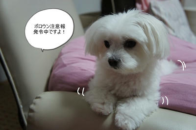 DSC06060.jpg