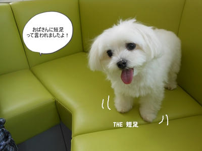 DSCN9932.jpg