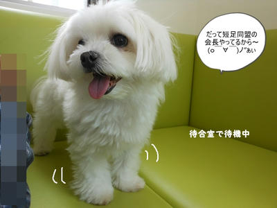 DSCN9936.jpg