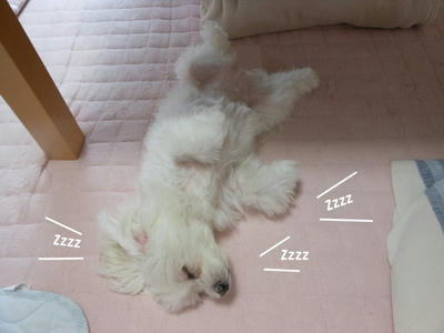 DSCN9946.jpg