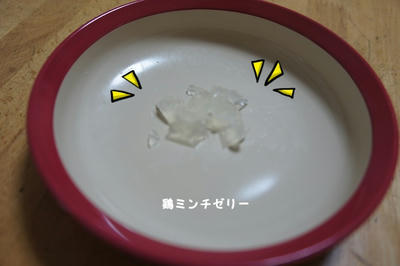 DSC06333.jpg