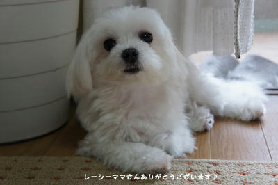 DSC06236.jpg