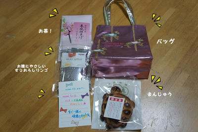 DSC06387.jpg