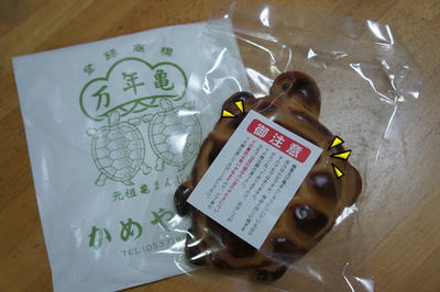 DSC06388.jpg