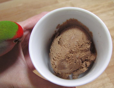 手作りチョコレートアイスクリーム