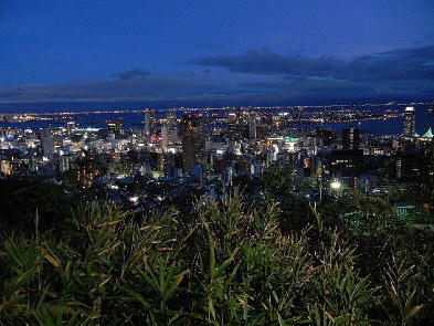 夜景観賞バスに乗って