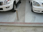 P1040255-2.jpg